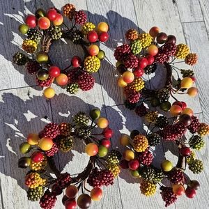 Fall Autumn Berry Ring Candle Holder 4pc Pier 1 Imports Luxury Festive (Set of 4